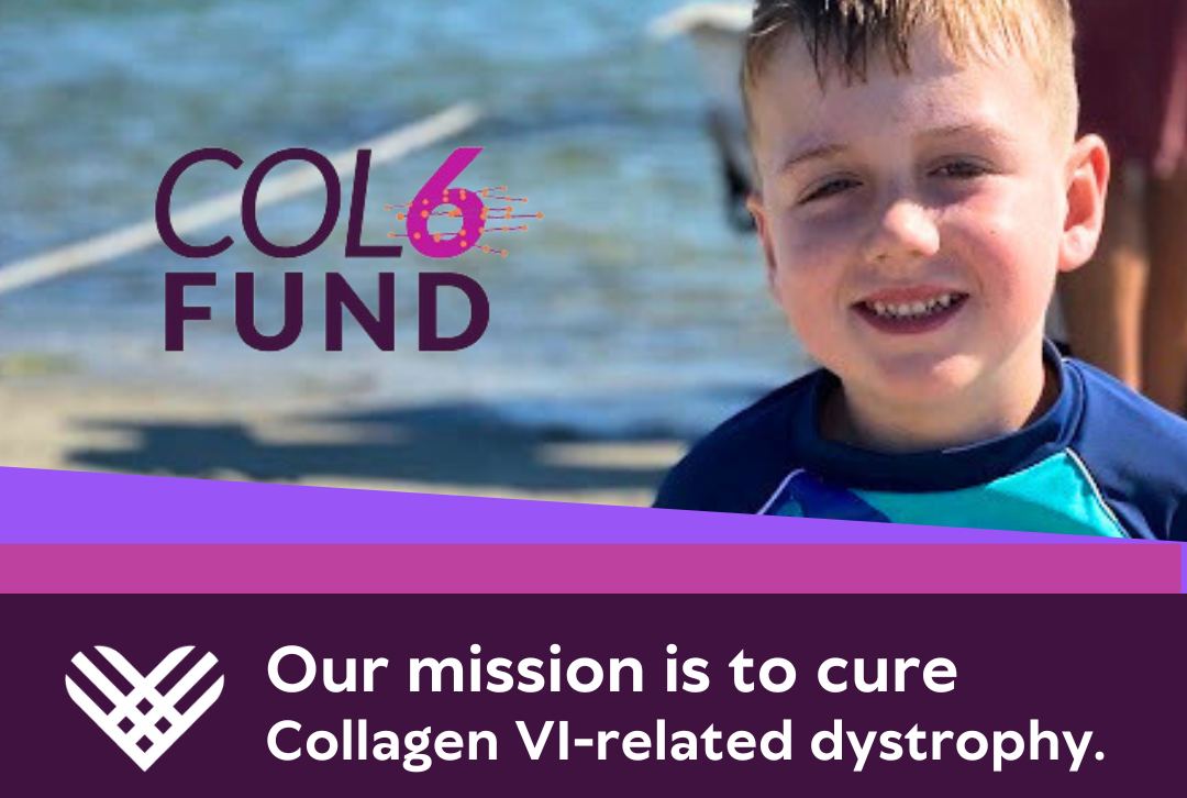 Run as one of Wesley's Warriors to help cure Col6 Muscular Dystrophy image