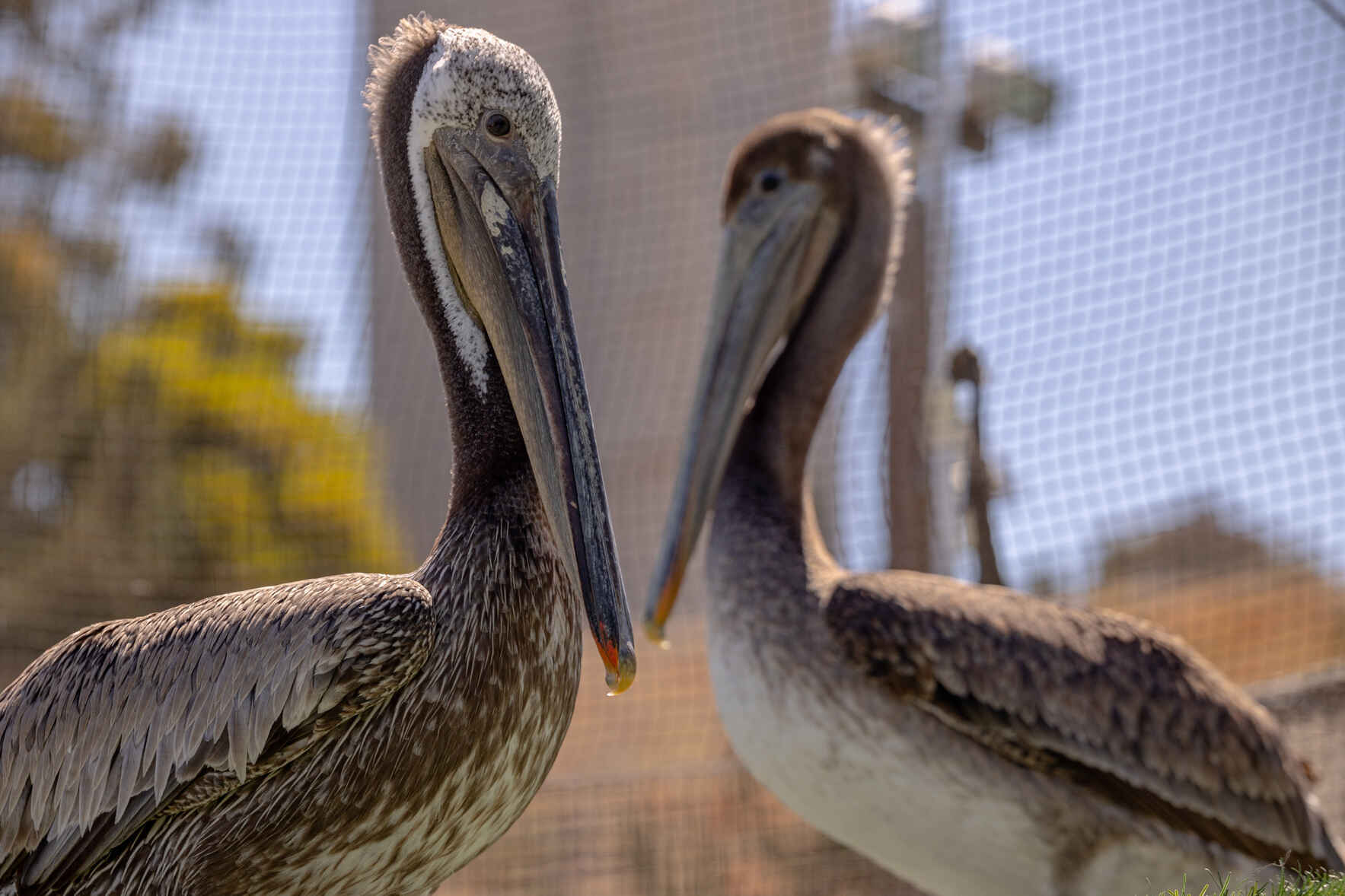 Business & Corporate Giving  image