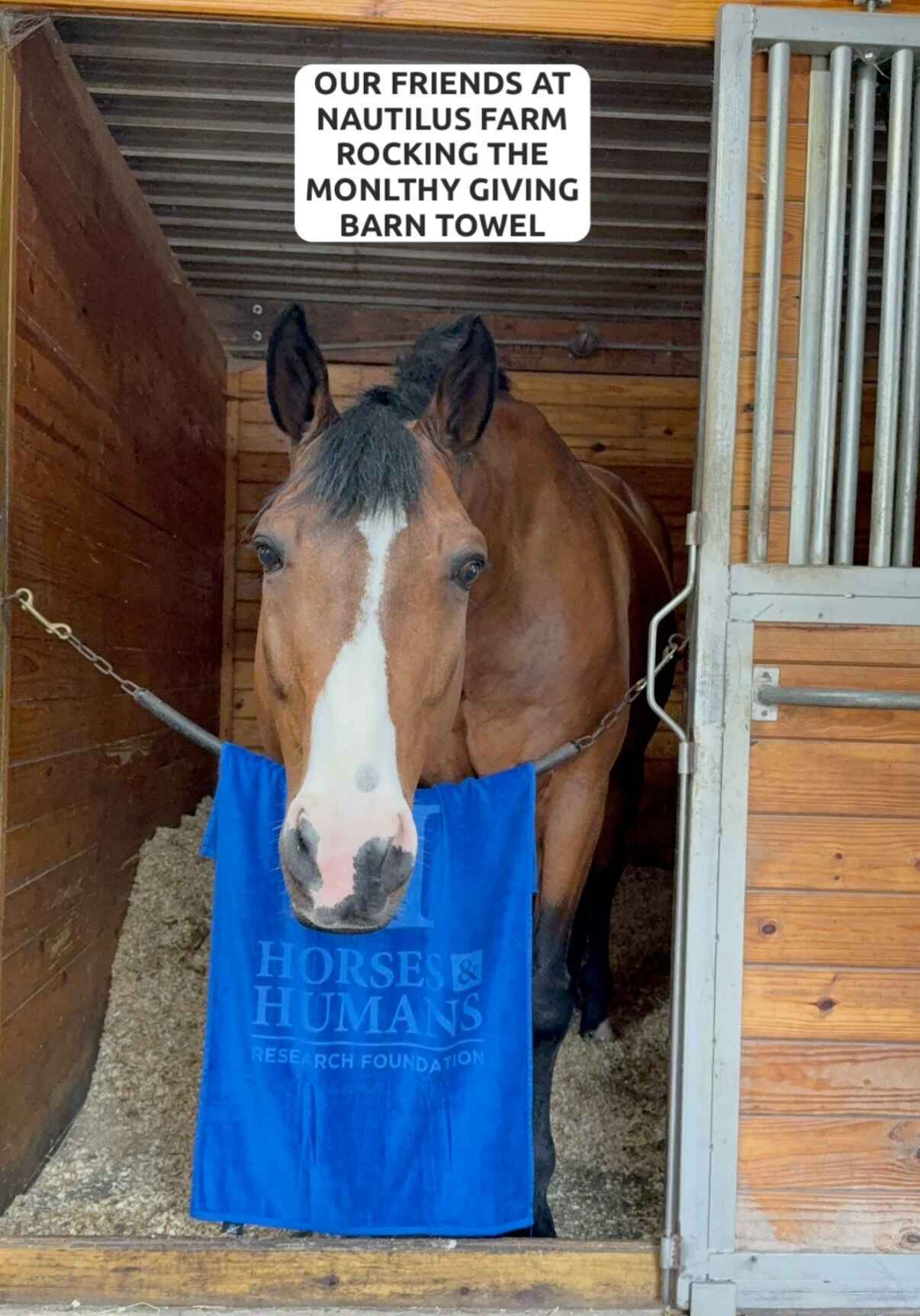 Be the Reason Research Rides On image