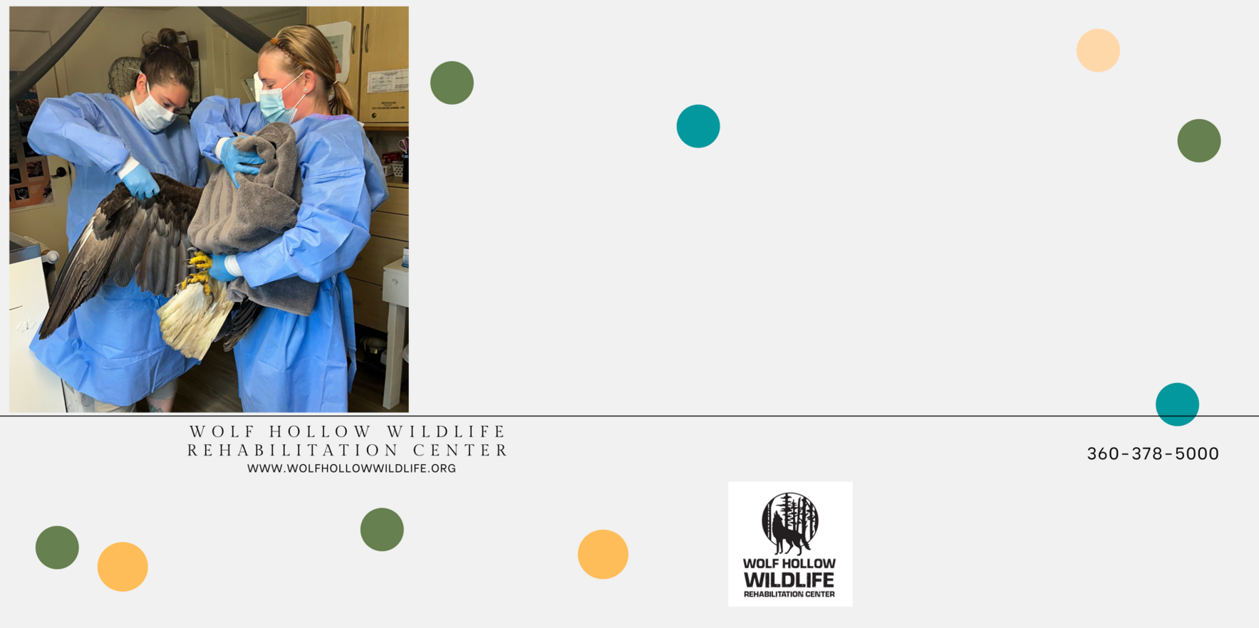 Together, we save Wildlife! image