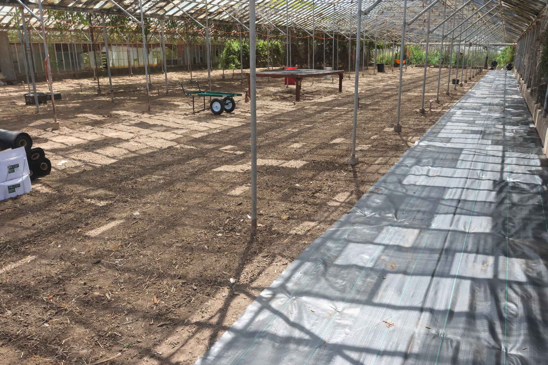 Help us Build Our New Native Plant Nursery in Goleta!  image