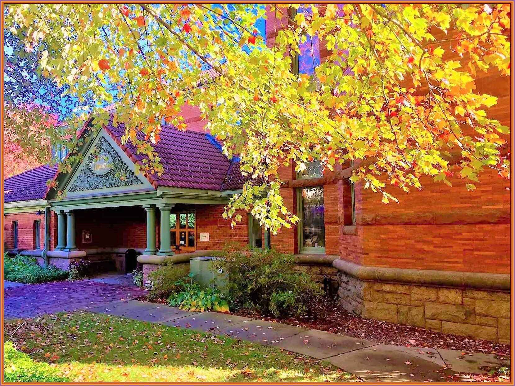 Your Gift Makes Everything our Library Does Possible image