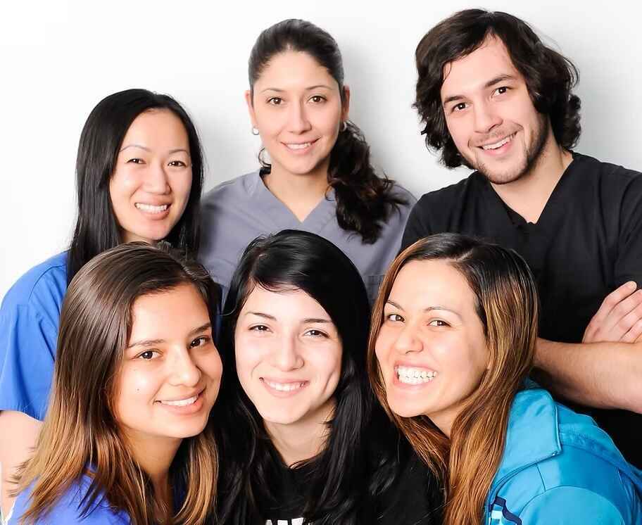 Veterinary Training Project - RVT Training Program image