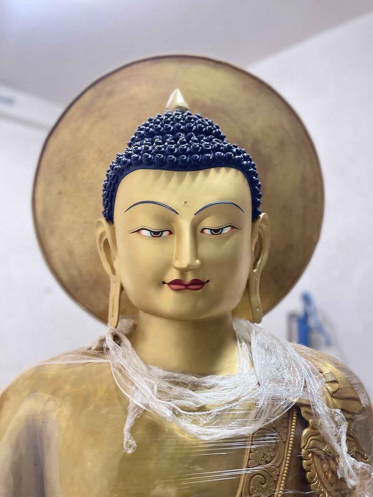 Bring the Buddha Home! image