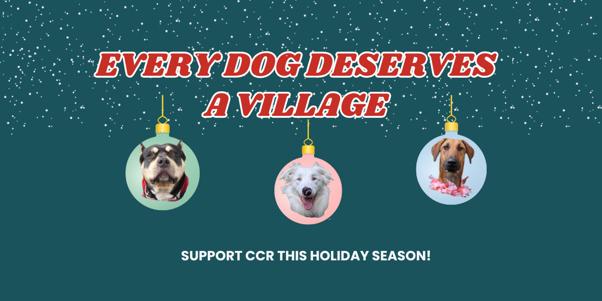Every Dog Deserves a Village! image