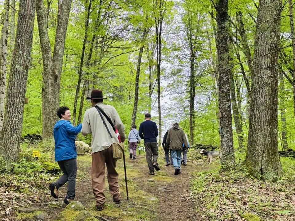 Support NQCA's Walk-a-Thon image