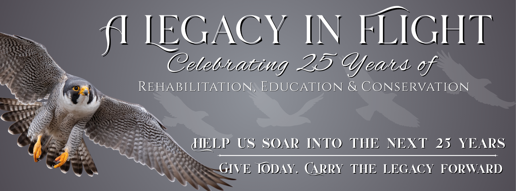 A Legacy in Flight image