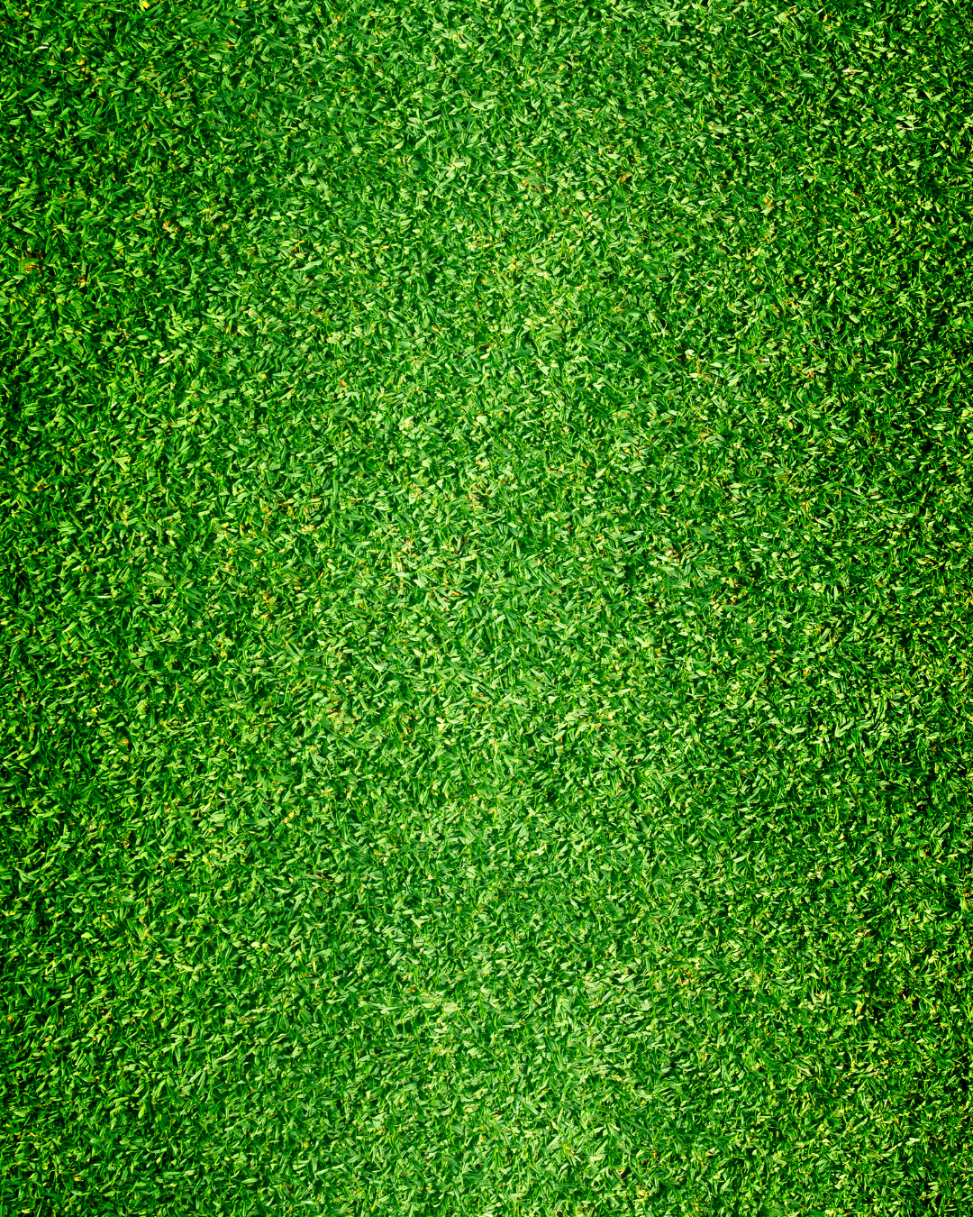 Become Featured in BGCC's 5th Annual Golf Tournament image