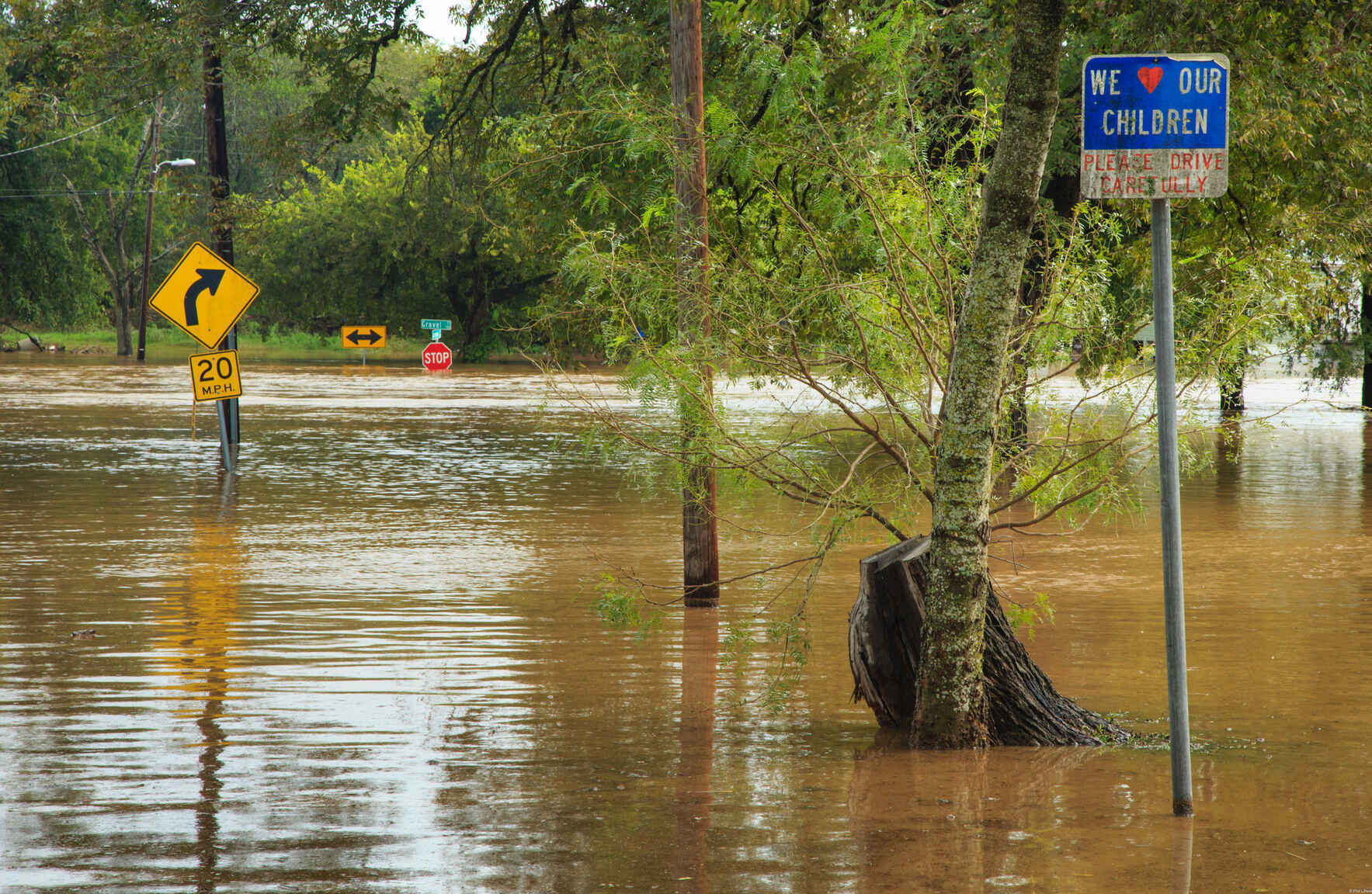 With Over 130 People Dead and Even More Missing, Residents of Central Texas Need Your Help! image
