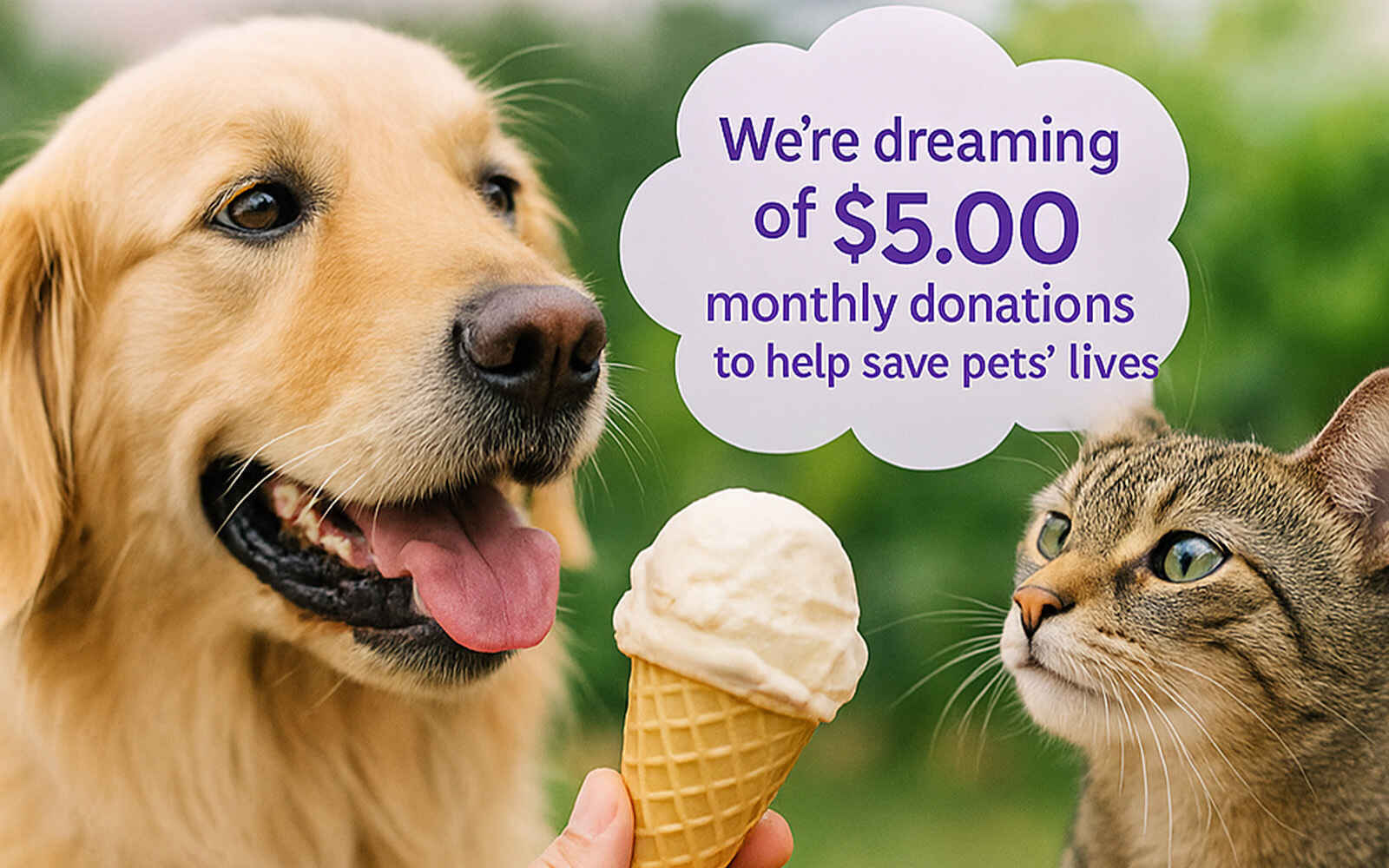 Scoop Up Hope: $5 a Month to Save a Life image