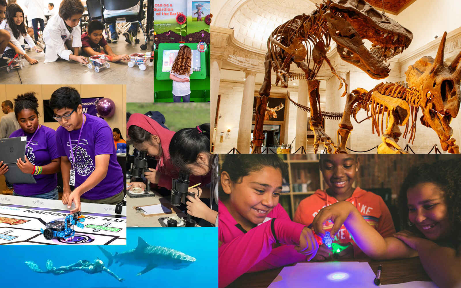 Support LA STEM Collective image