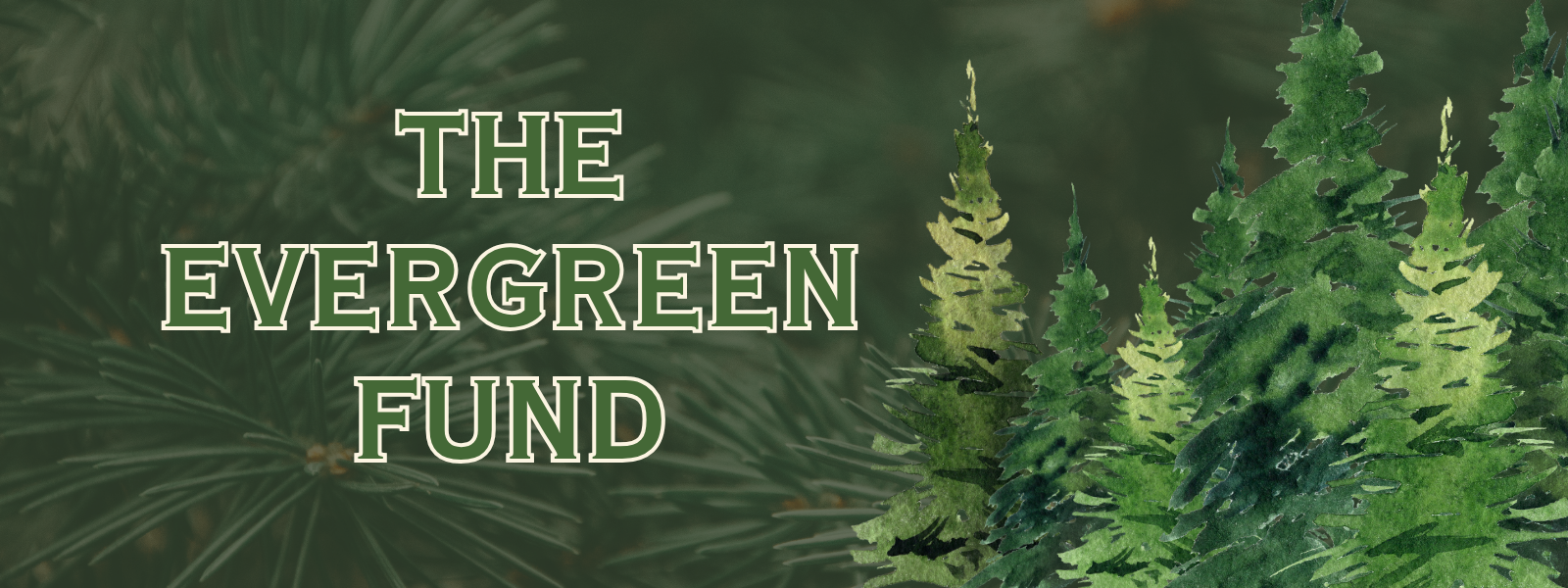 Keep Northeast Woodland evergreen 🌲 strong, vibrant, and enduring image