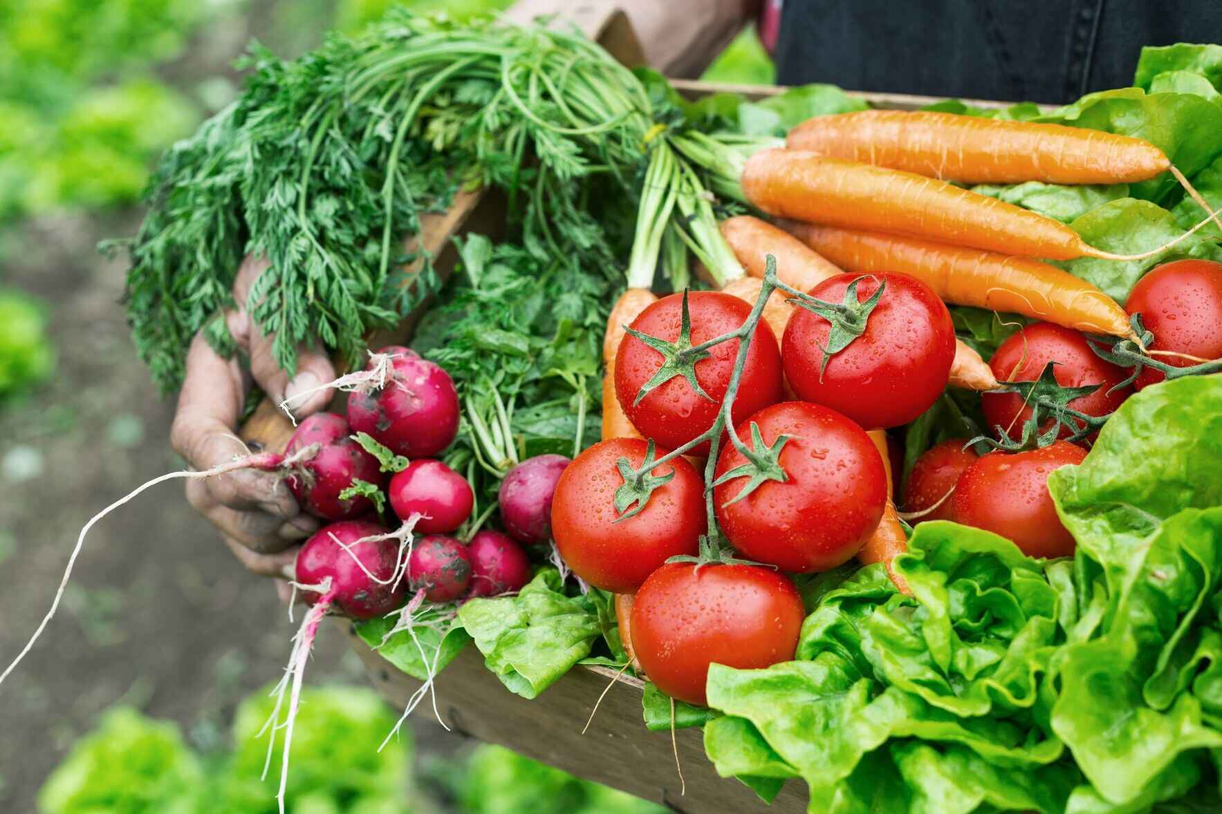 Help feed our families in need! image