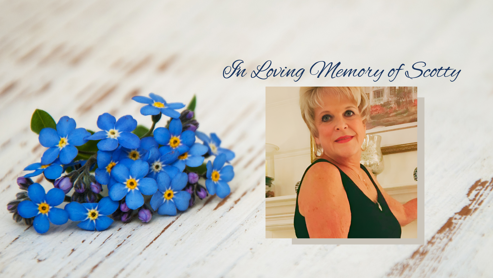 Martha "Scotty" Jenkins Memorial Gift image