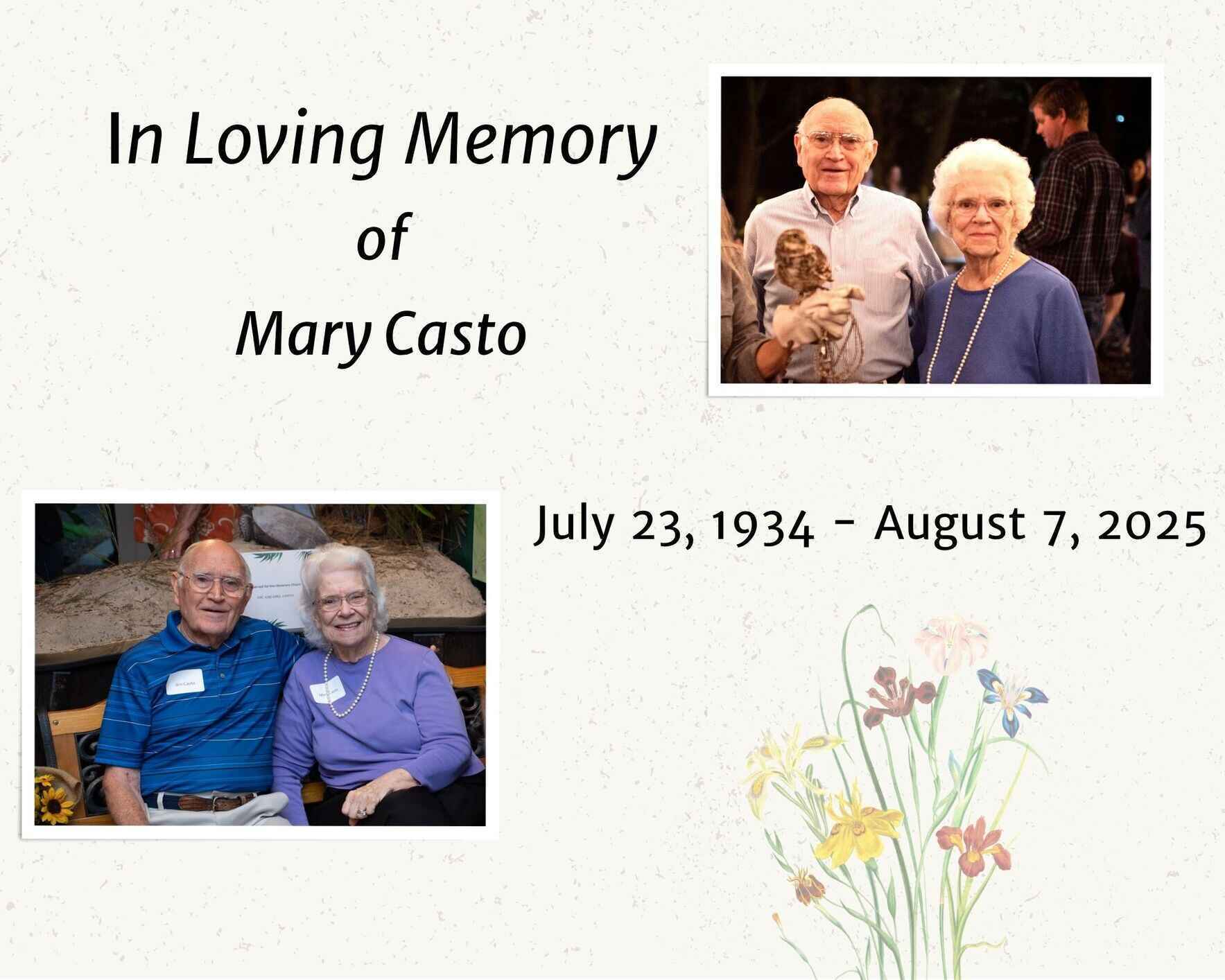 Donate in memory of Mary Casto image