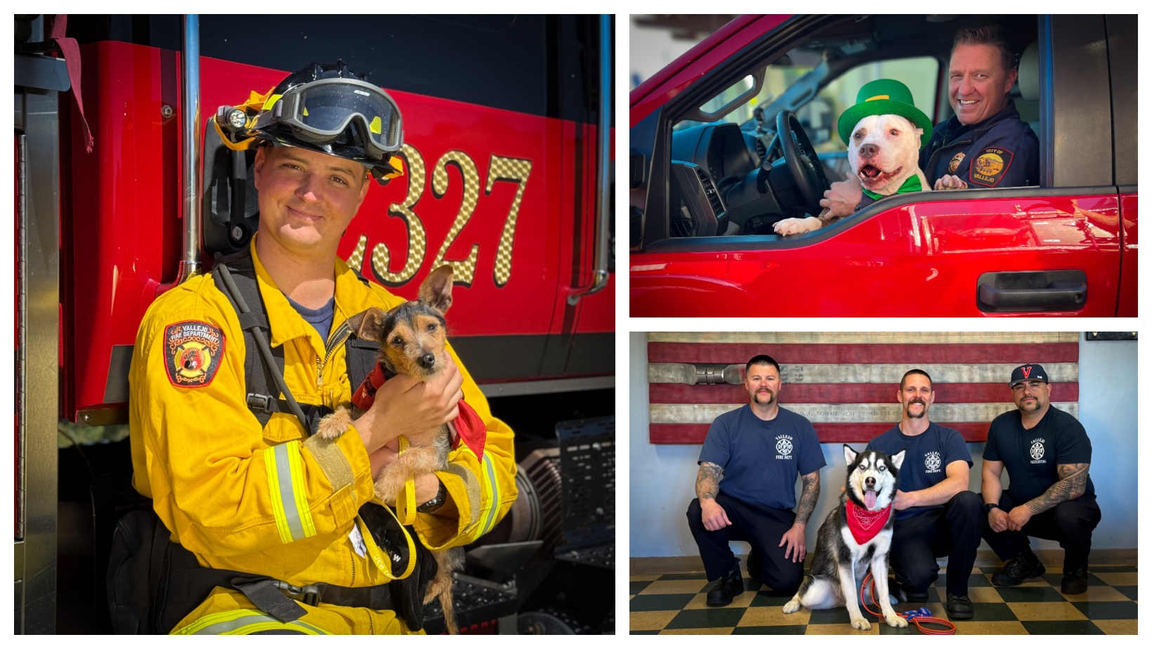​Preorder Now: “To the Rescue!” – The 2026 VFD/HSNB Fundraising Calendar image