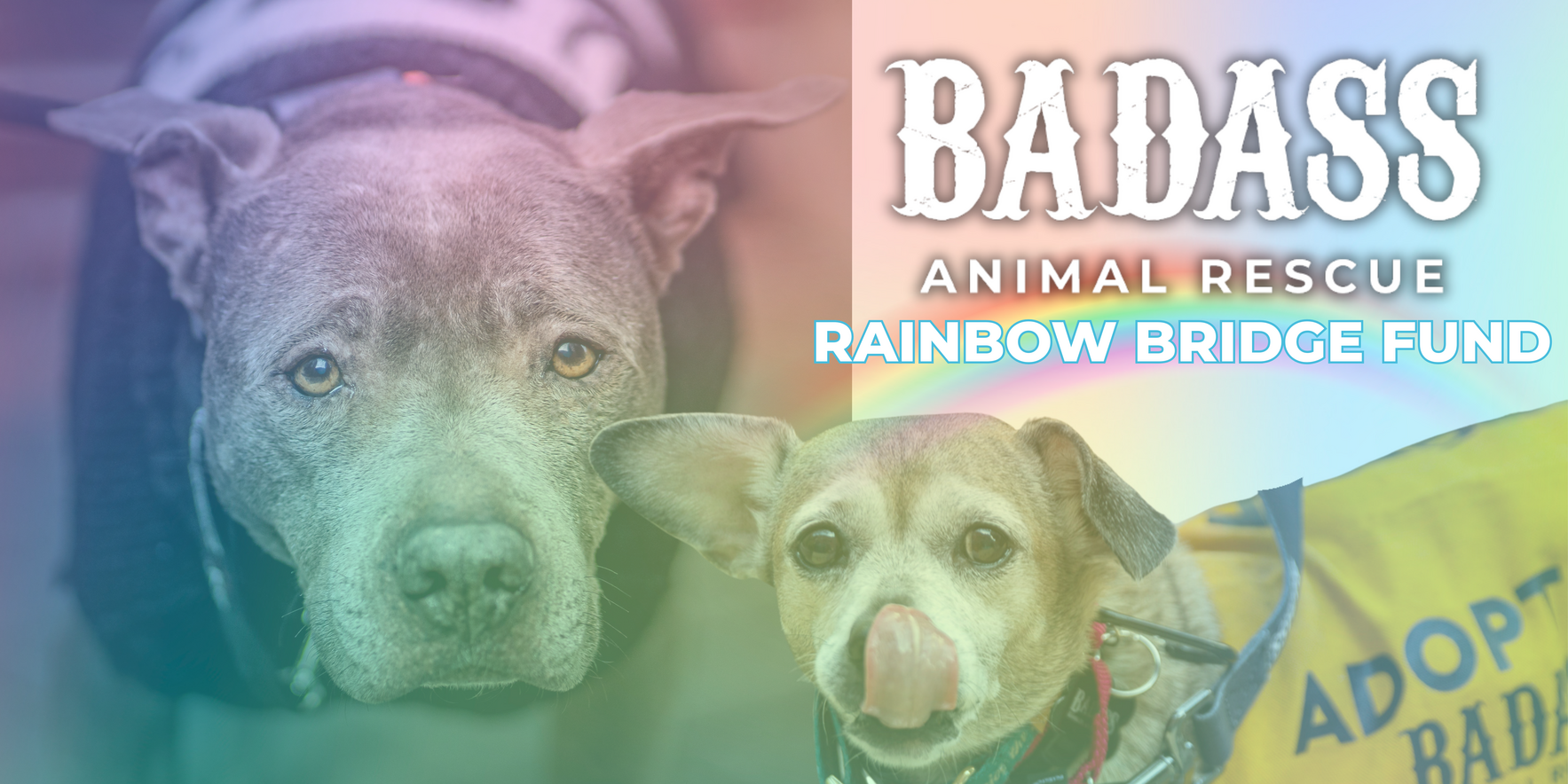 Badass Rainbow Bridge Fund image