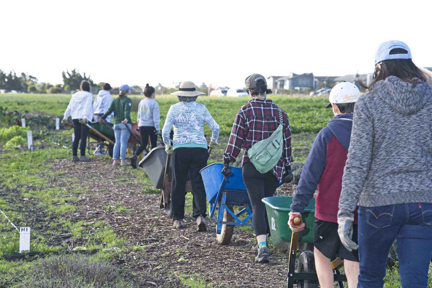 Math Teach-a-thon & Pi Day! image