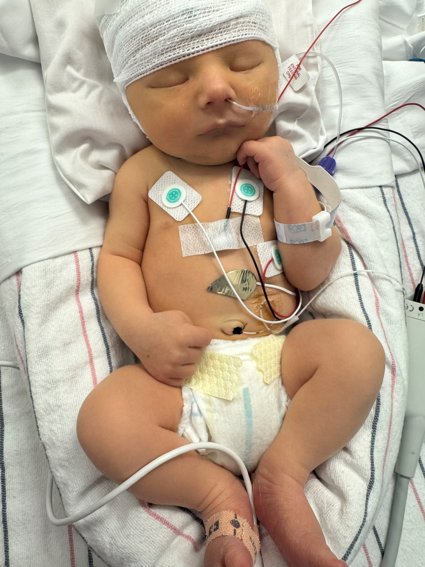 Please donate to help Sergeant Matthew Meade and his wife image
