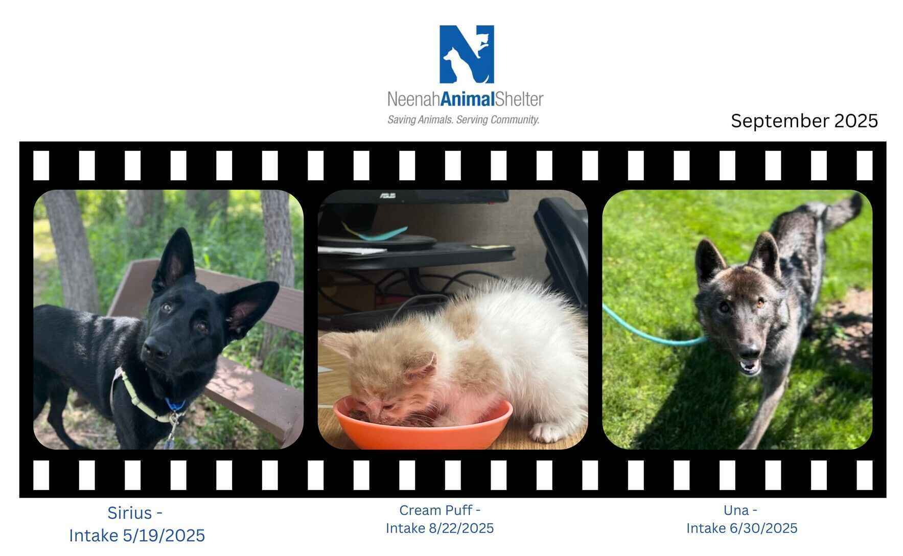 Together, we say “ yes ” to saving lives! image