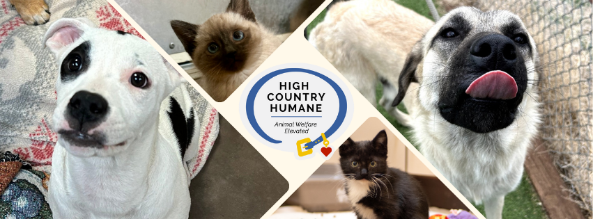 Be the Rapid Response Pets Need! image