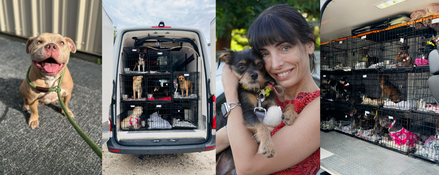 We urgently need 50 new crates of various sizes at a total cost of $2,911  image