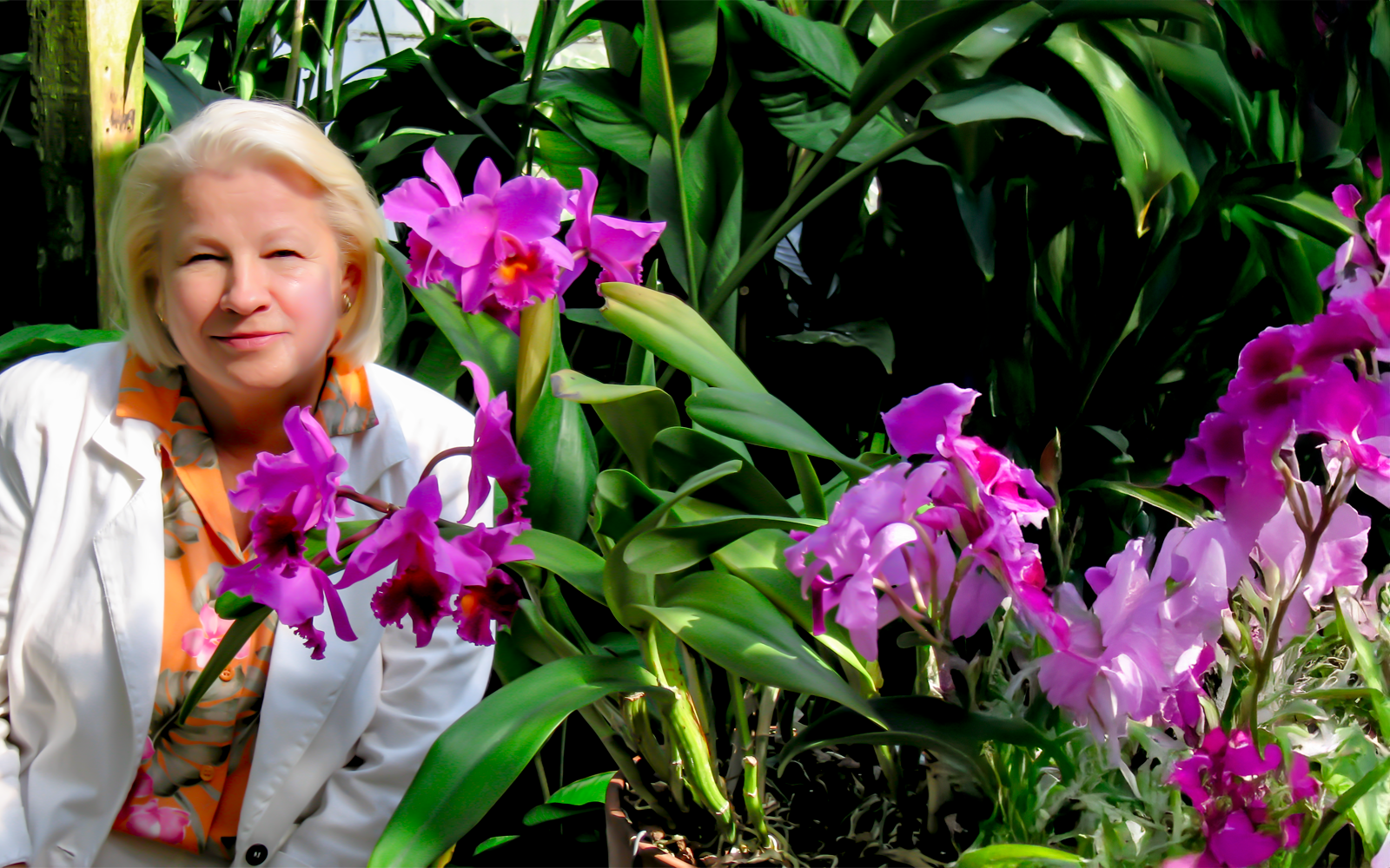 Give to the Dolly Fund! image