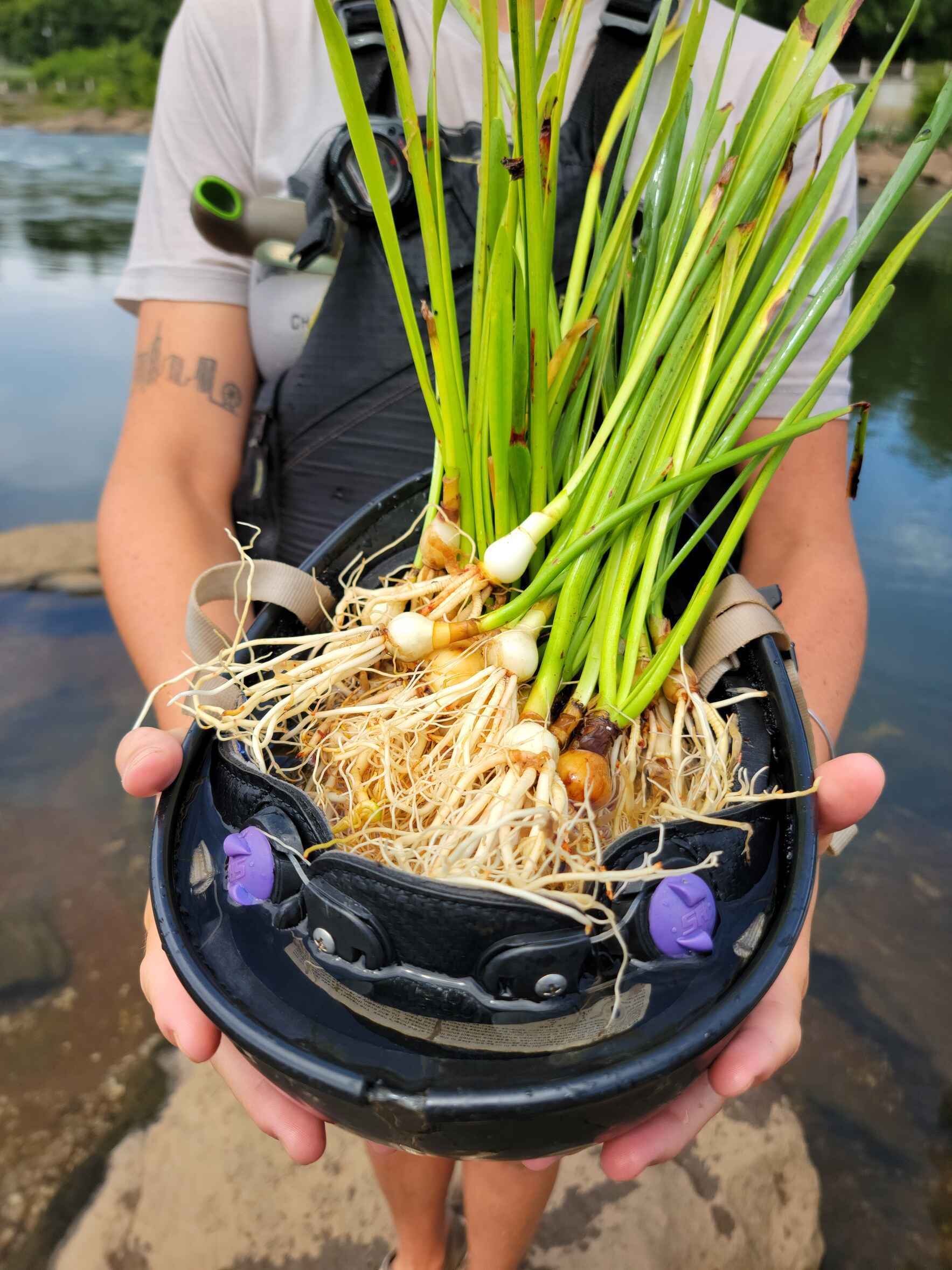 Support a healthy, clean Chattahoochee River  image