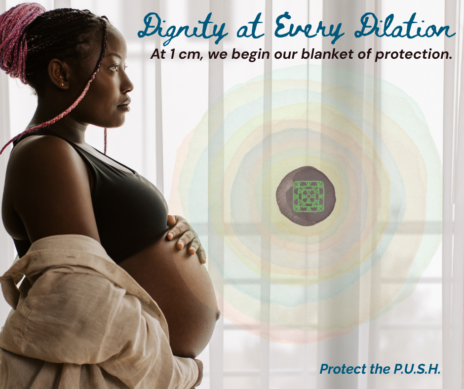 Protect the P.U.S.H.       image