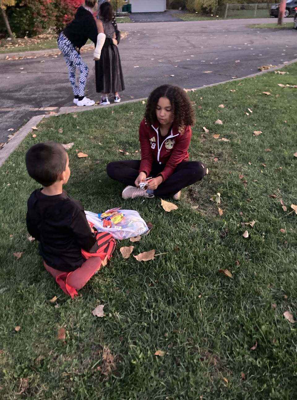 A Harbor in the Storm image