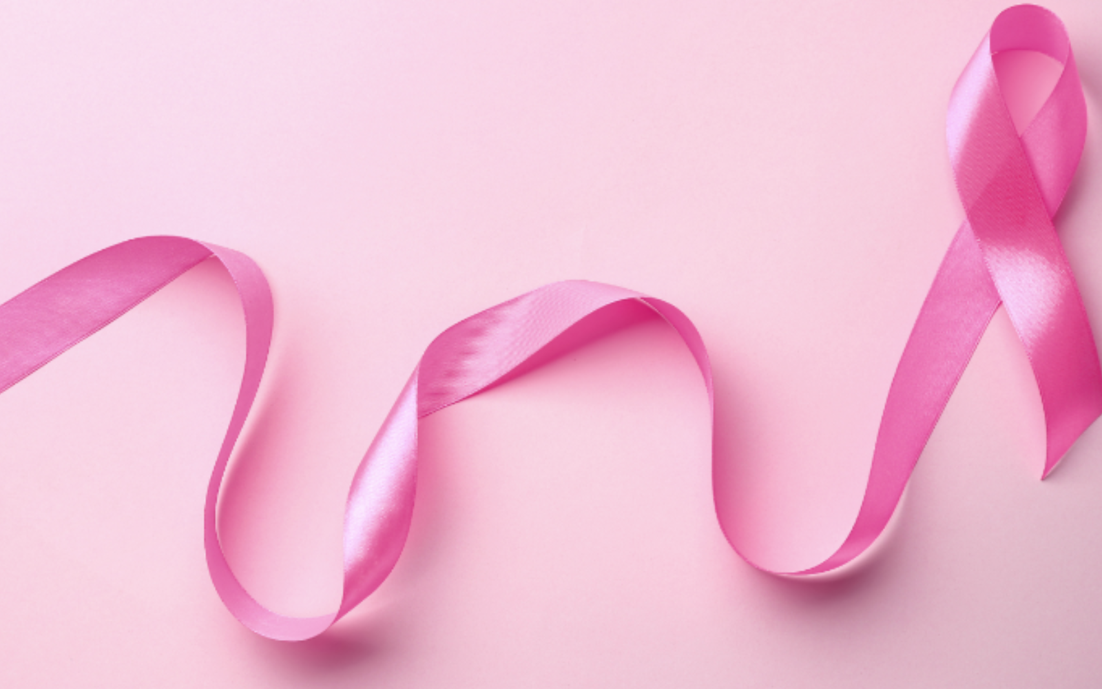 Moe's BBQ is raising money to benefit The Breast Cancer Research Foundation of Alabama! image