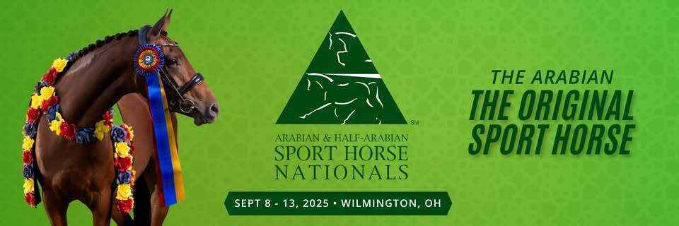 AHDF Silent Auction at Sport Horse Nationals 2025 image
