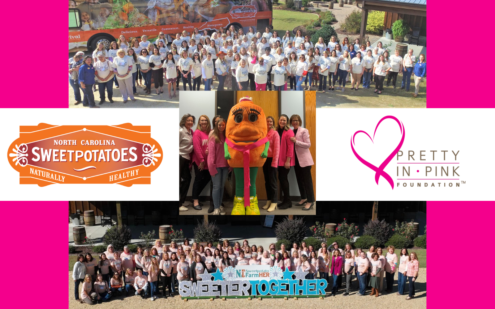 Help Breast Cancer Patients In North Carolina image