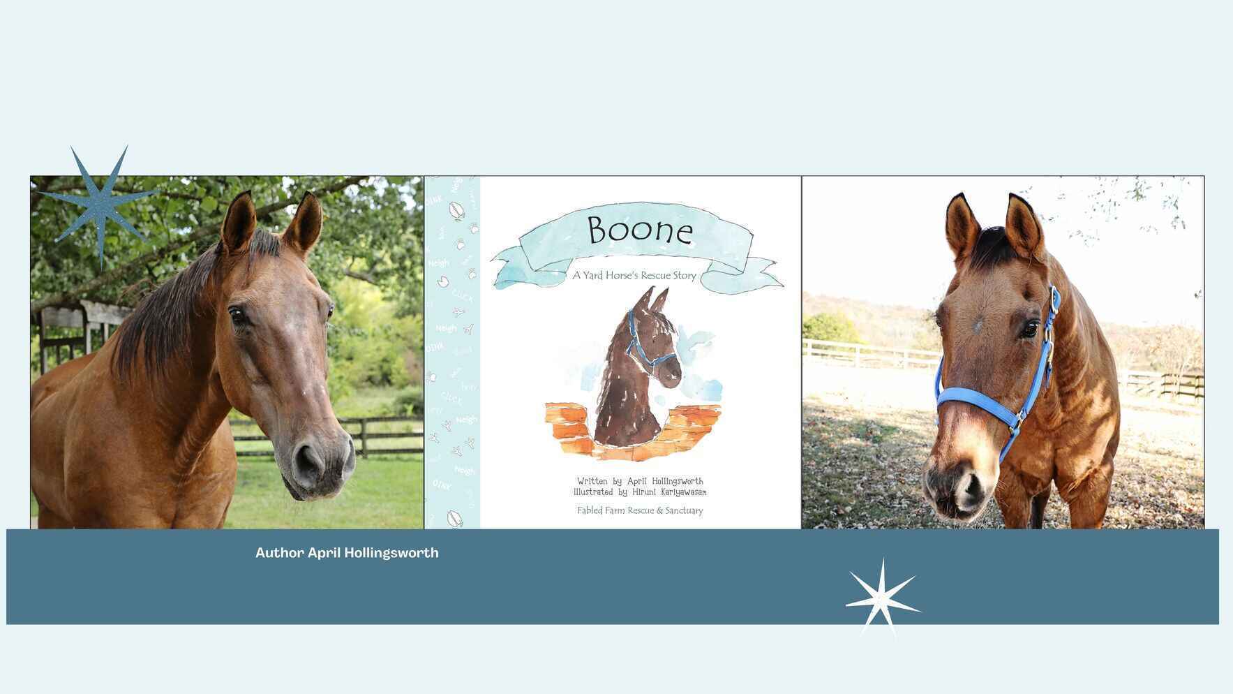New Book Alert! image