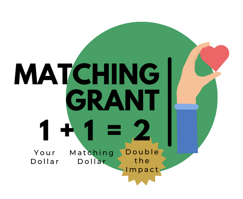 Matching Grant 2025 image