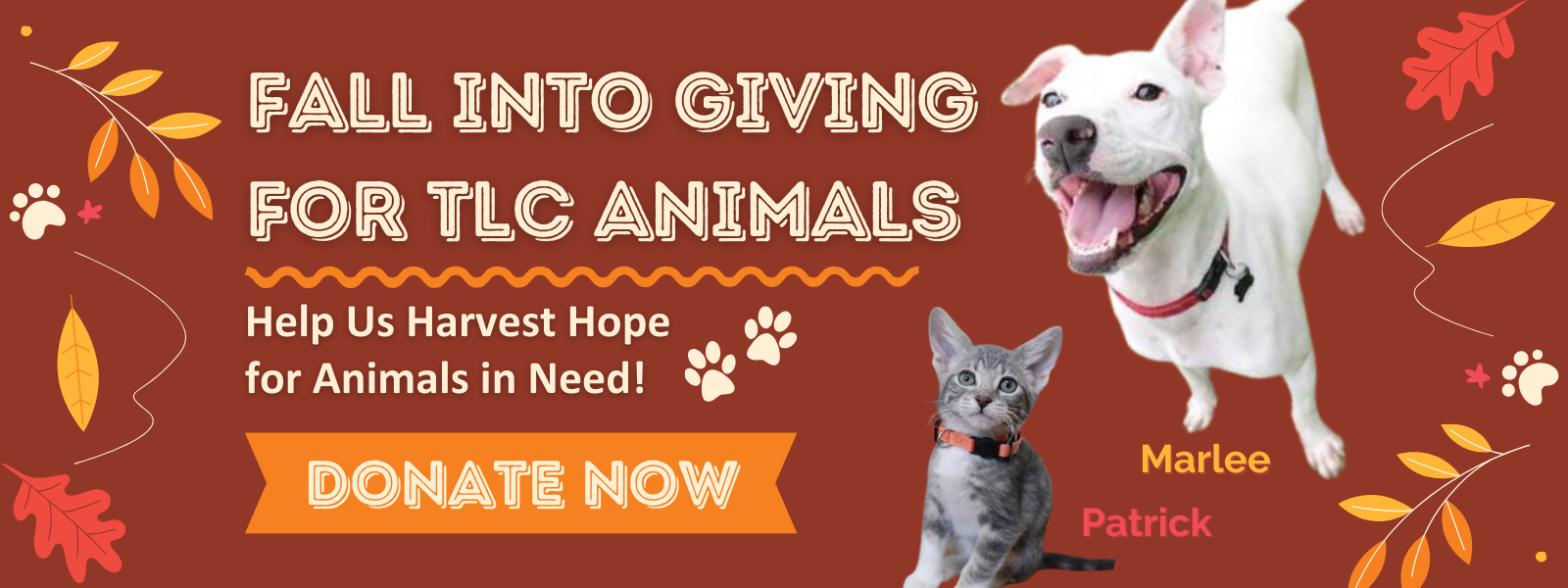 Fall Into Giving - Help Us Harvest Hope for Animals in Need! image