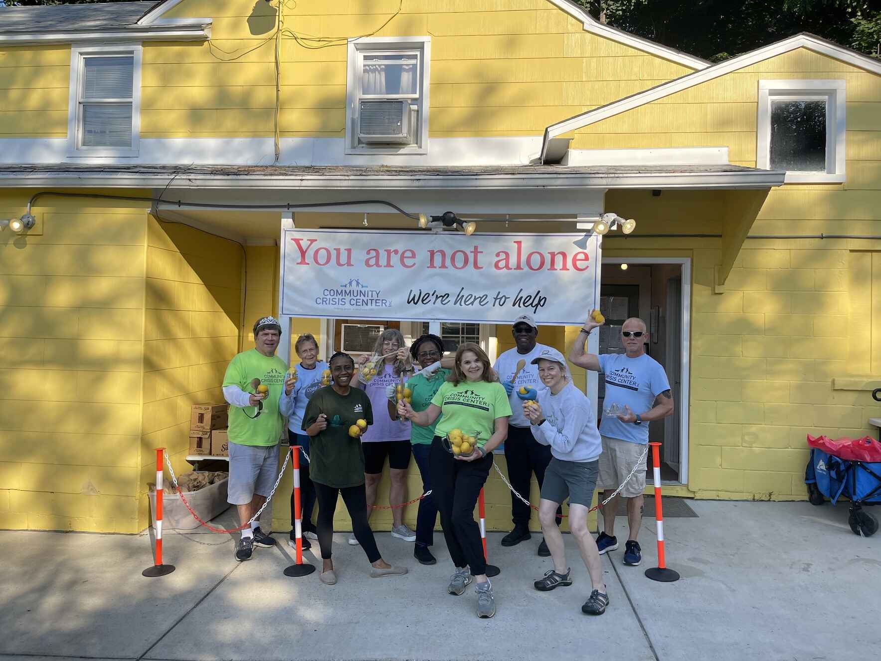 When Life Gives Us Lemons... We Add a Peppermint Stick image