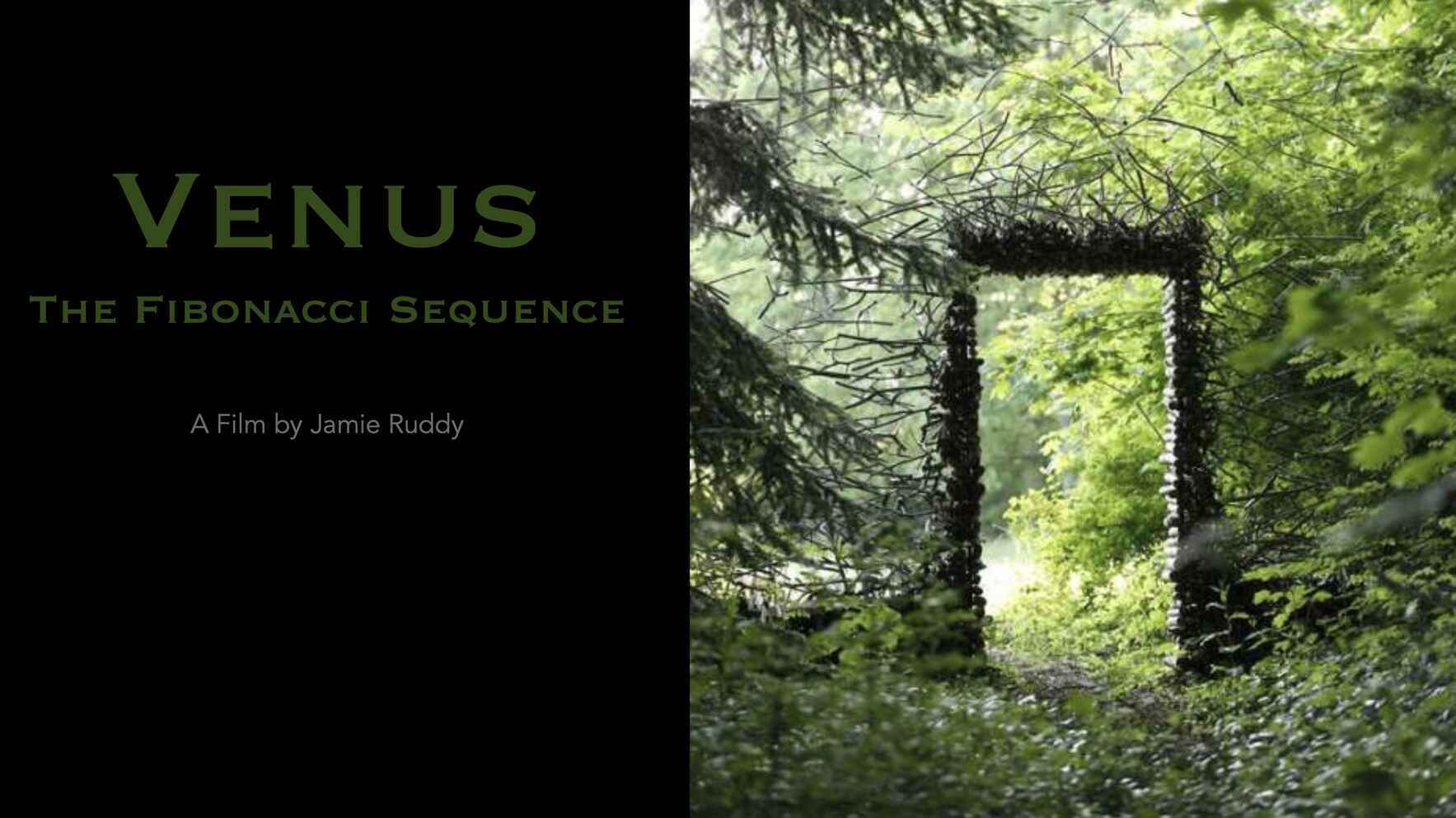 Venus: The Fibonacci Sequence image