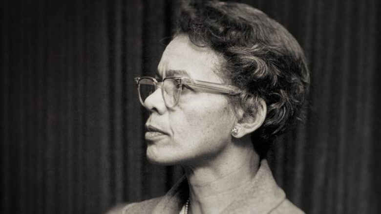 Pauli's Vision Today image