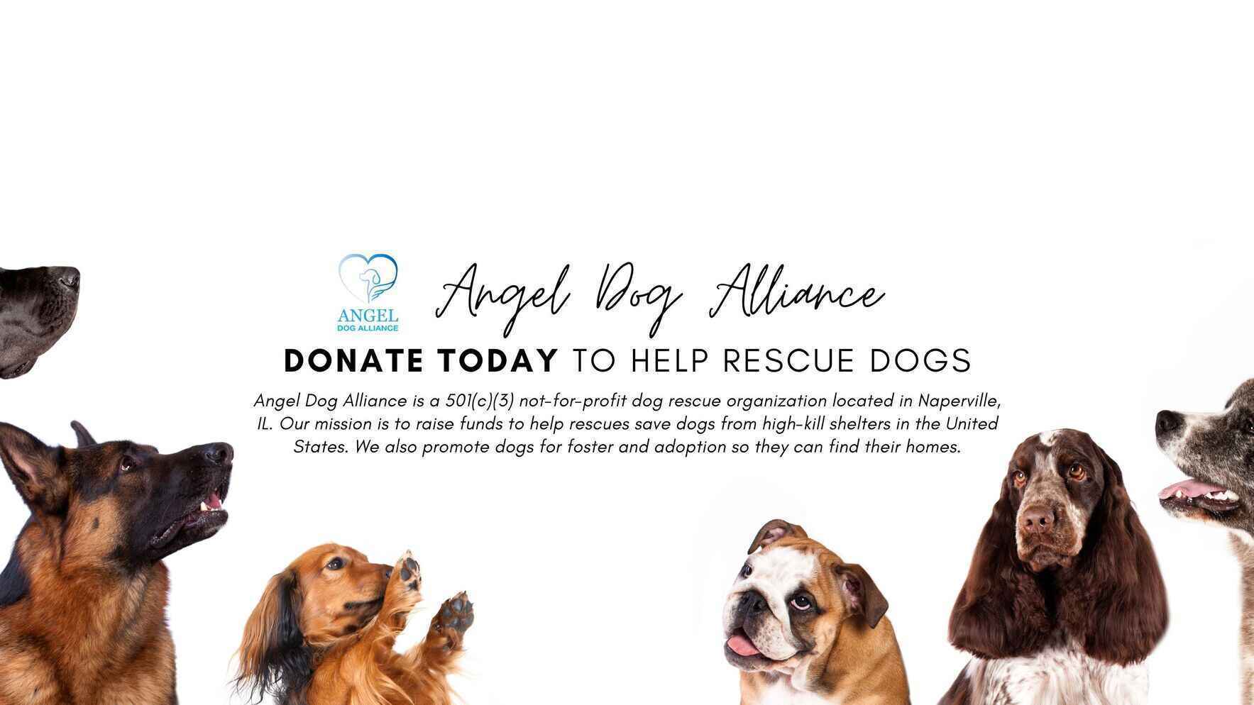 General Donations image