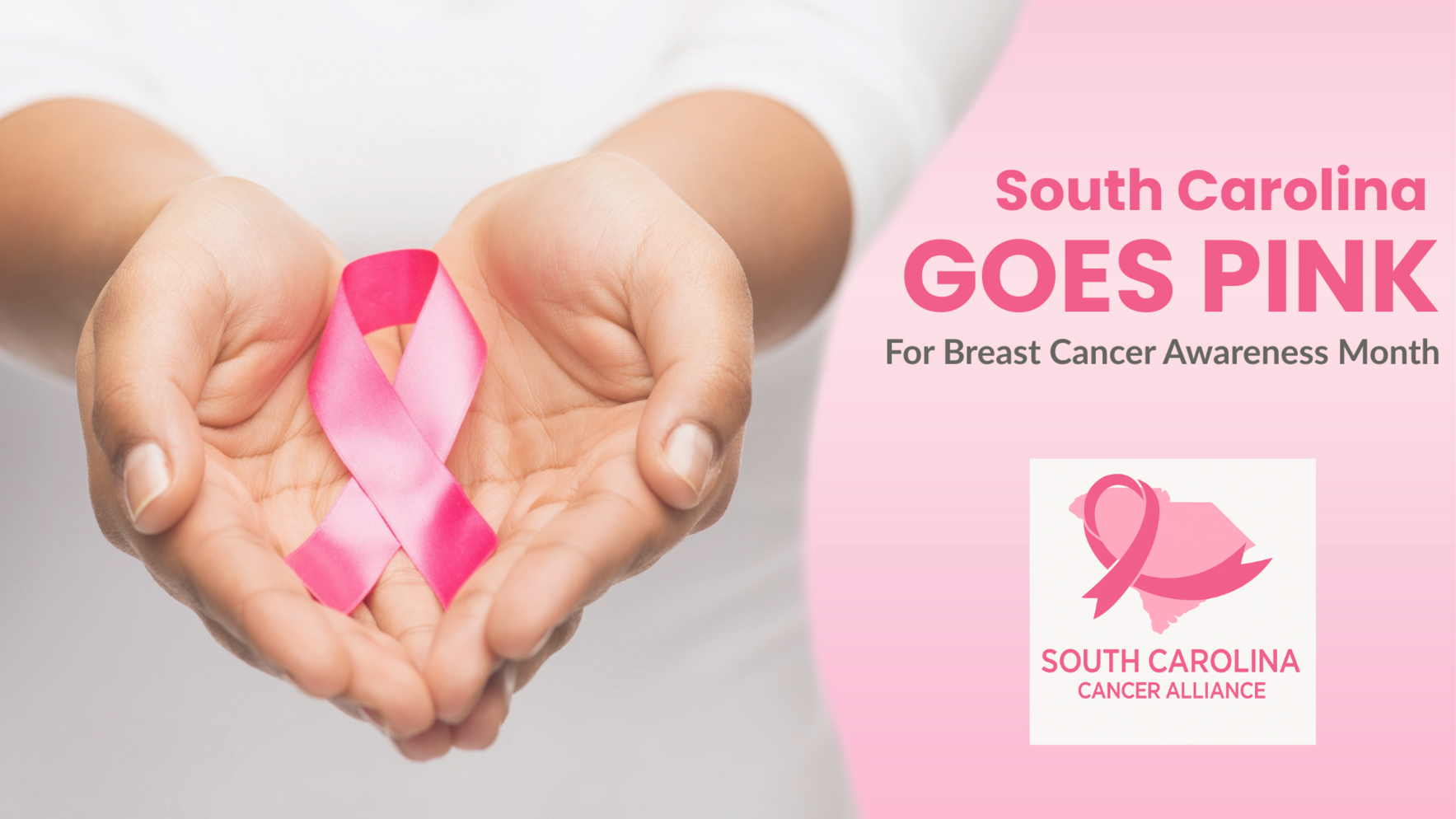 South Carolina Goes Pink: United in the Fight for Breast Cancer Awareness image