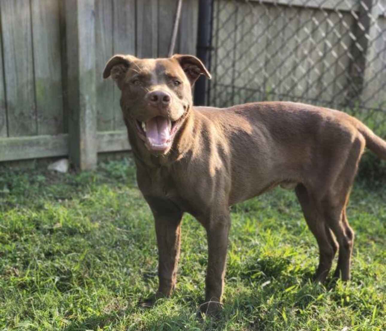 Help Reader Hop Into His Happily Ever After image