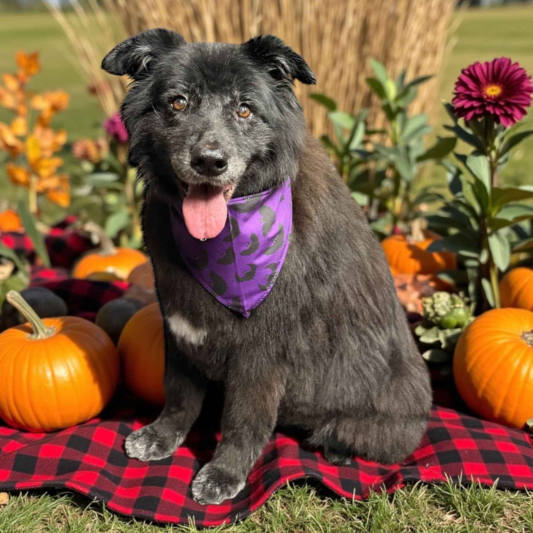 Make Twice the Impact!  image