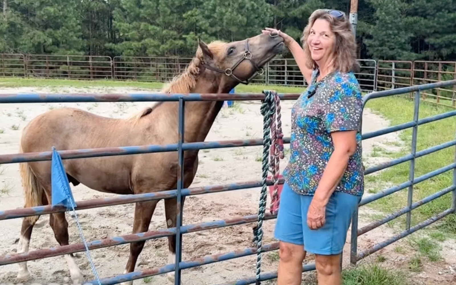 Dreamgaits Fund image