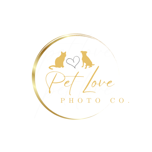 Photos with A Pawurpose image