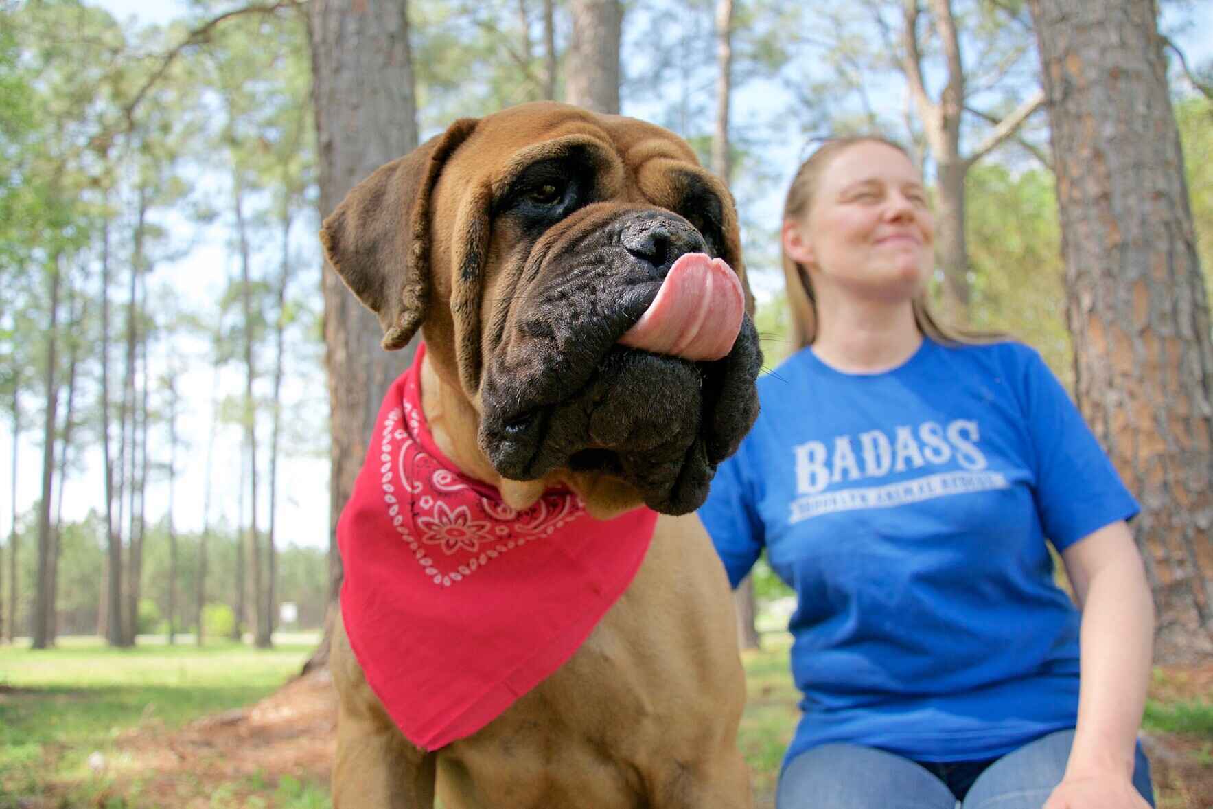 Eva's Dog Camp Goes on a Rescue Mission! image