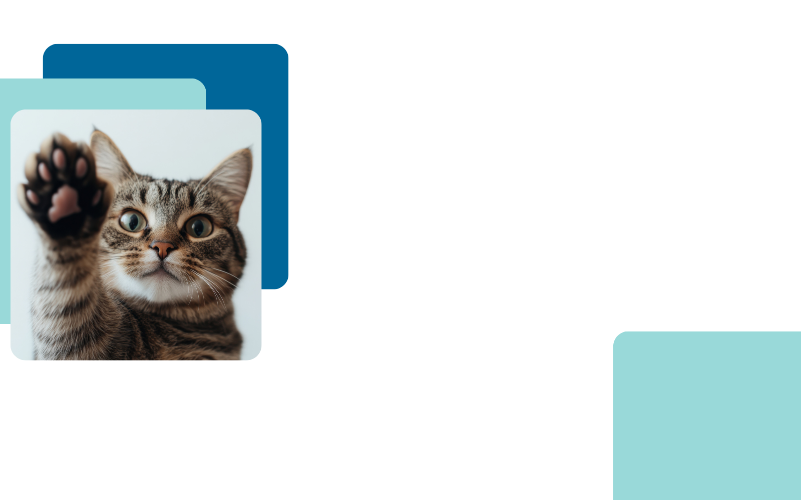 Save Their Spots:  image