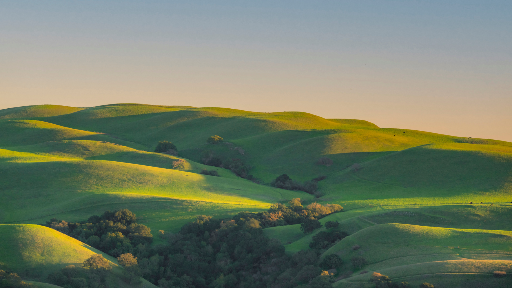  Bring hope to survivors today image