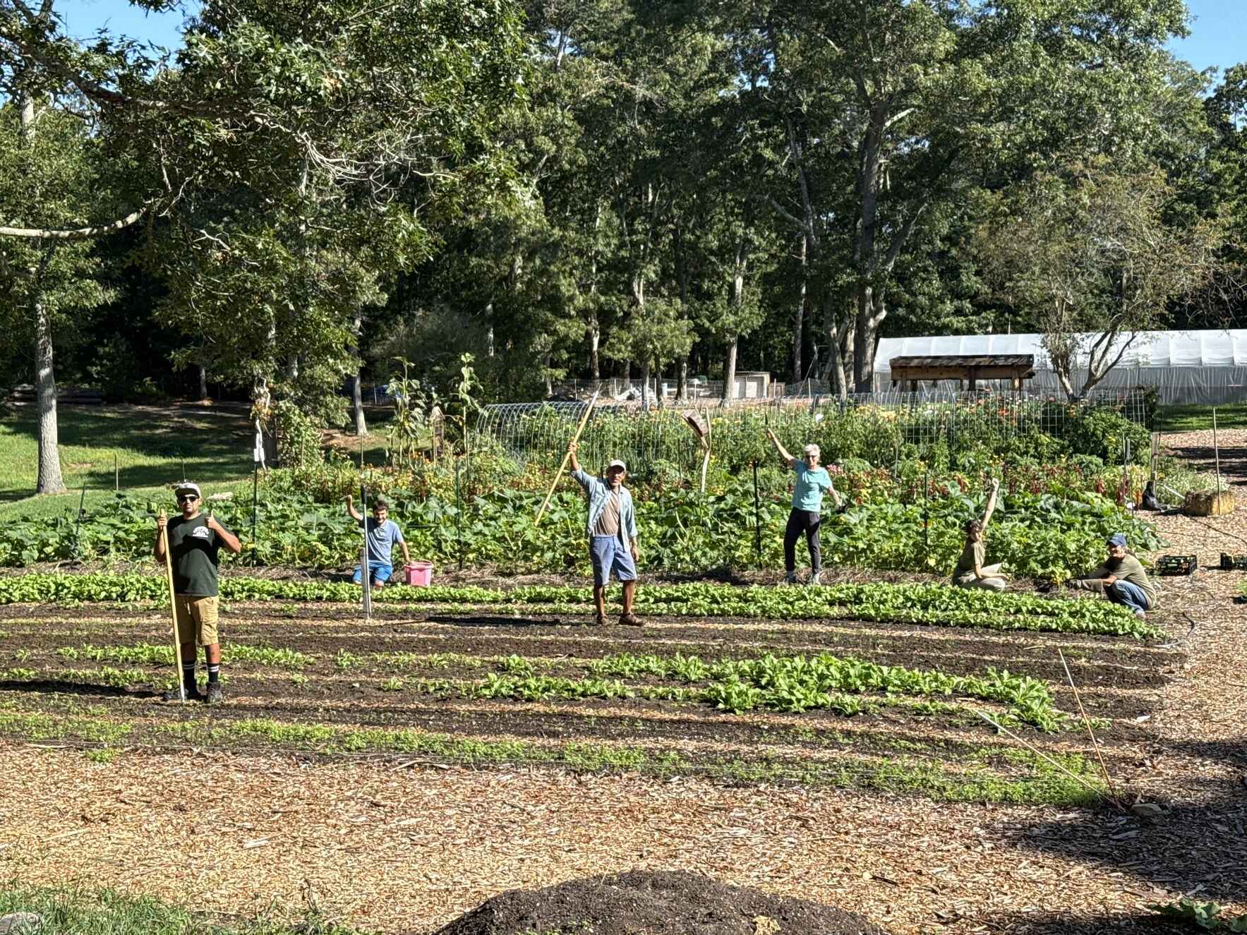 Farming Falmouth Membership image