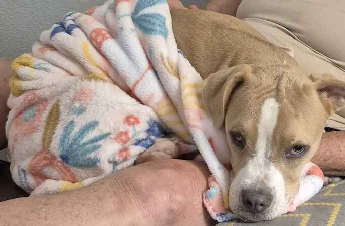 Help Us Fund Miriam's Eye Surgery That She Desperately Needs image